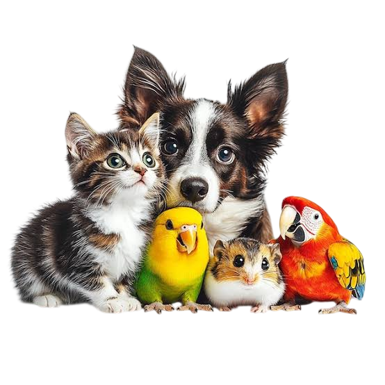 Cachorro, gato, hamster e pássaros juntos